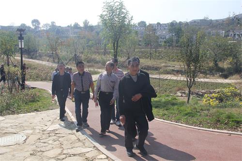 游览金岭村.JPG
