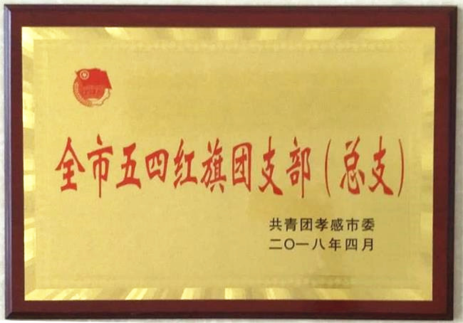 大悟法院团支部荣获“全市五四红旗团支部”荣誉称号.jpg